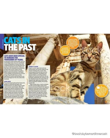 Can't Get Enough Cat Stuff interior page 1